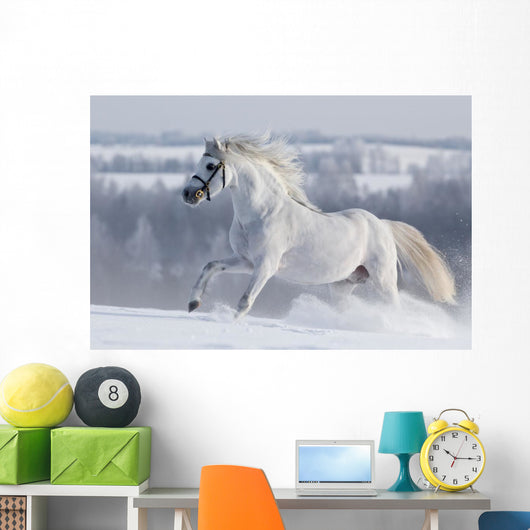 White Horse Gallops Field