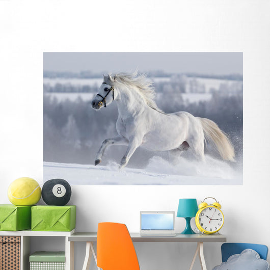 White Horse Gallops Field