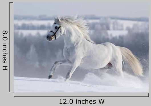 White Horse Gallops Field