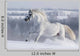 White Horse Gallops Field
