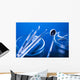 Dental Tools