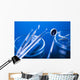 Dental Tools