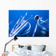 Dental Tools
