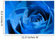 blue rose Wall Mural