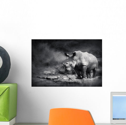 White Rhinoceros