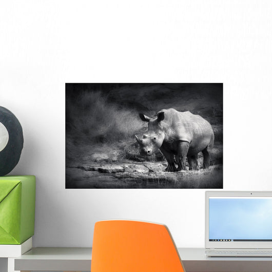 White Rhinoceros