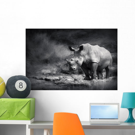 White Rhinoceros