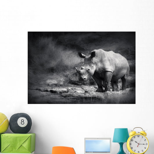 White Rhinoceros