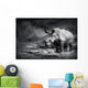 White Rhinoceros