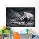 White Rhinoceros