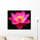 Waterlily Fuchsia Black