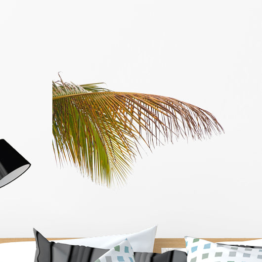 Old Leaves Coconut Tree Wall Mural