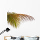 Old Leaves Coconut Tree Wall Mural
