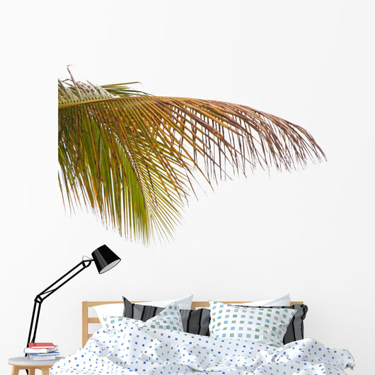 Old Leaves Coconut Tree Wall Mural