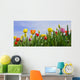 Wonderful Spring Tulip Field