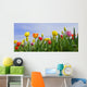 Wonderful Spring Tulip Field