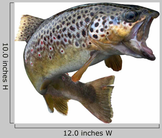 Leaping Trout Wall Decal