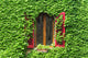 Certaldo Florence Window