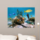 Underwater sea-life reef Wall Mural