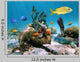Underwater sea-life reef Wall Mural