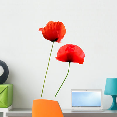 Two Poppies White Wall Decal shown on a wall