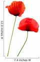 Two Poppies White Wall Decal