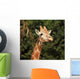 Giraffe Wall Mural