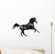 black expressive arab horse isolated on white Wall Decal