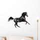 black expressive arab horse isolated on white Wall Decal
