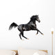 black expressive arab horse isolated on white Wall Decal