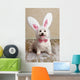 Puppy Dog Wearing Bunny Wall Decal