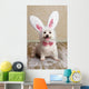 Puppy Dog Wearing Bunny Wall Decal