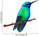 Hummingbird on White Background Wall Decal