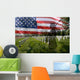 Soldier Silhouette American Flag