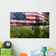 Soldier Silhouette American Flag