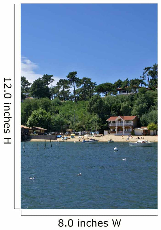 home of the basin of Arcachon Wall Mural