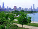 Chicago Beauty Wall Decal