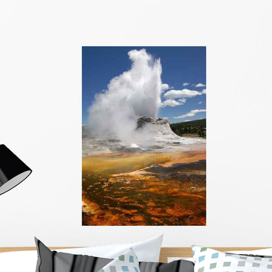 Geyser Wall Decal