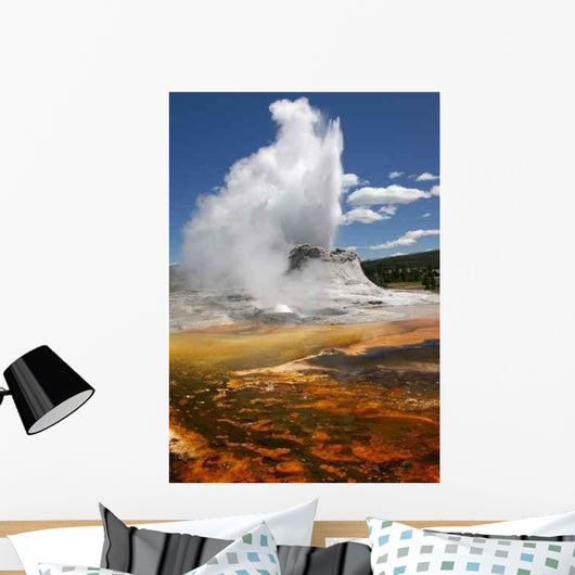 Geyser Wall Decal