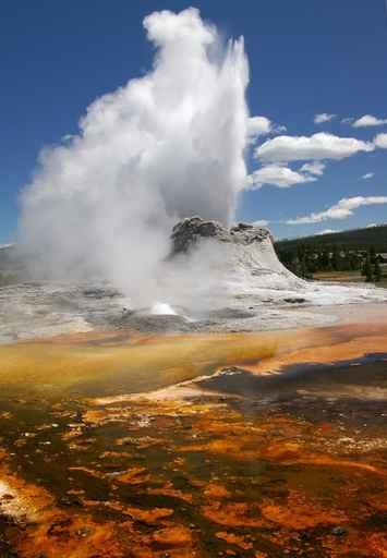 Geyser Wall Decal
