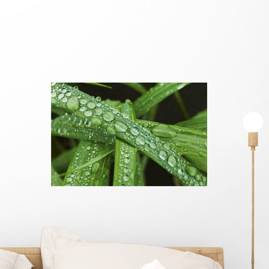 Drops Grass Wall Decal
