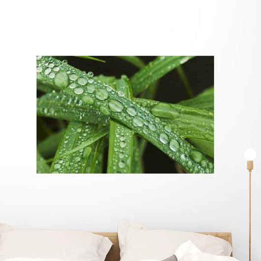 Drops Grass Wall Decal
