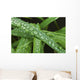 Drops Grass Wall Decal