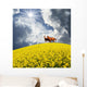Horse Wall Mural