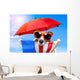 Dog Sunbathing Deck Chair
