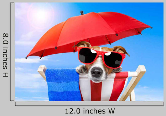 Dog Sunbathing Deck Chair
