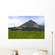 Puy Griou Wall Decal