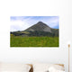 Puy Griou Wall Decal