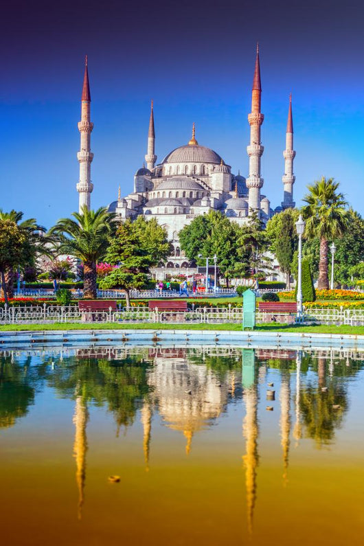 Blue Mosque in Istanbul - Turkey Wall Mural