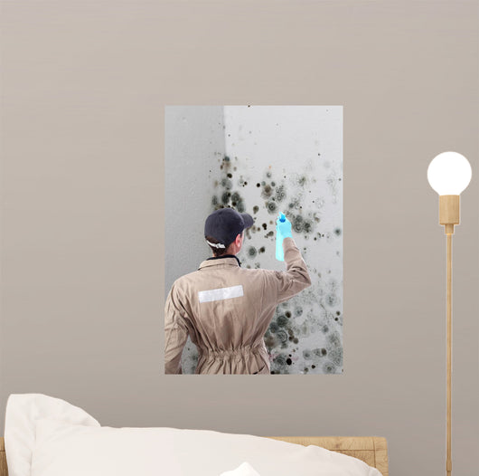 Mold removal by a specialist Wall Mural